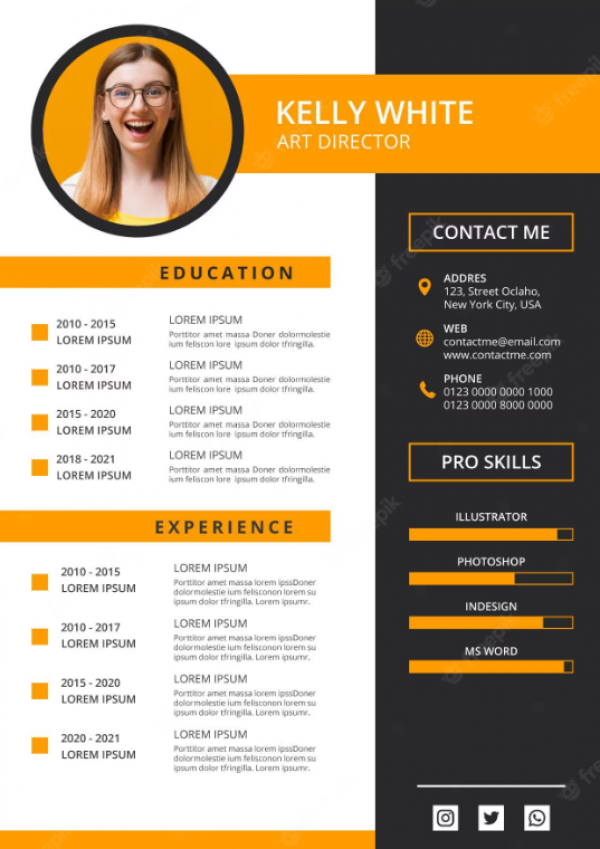 Desain CV Profesional